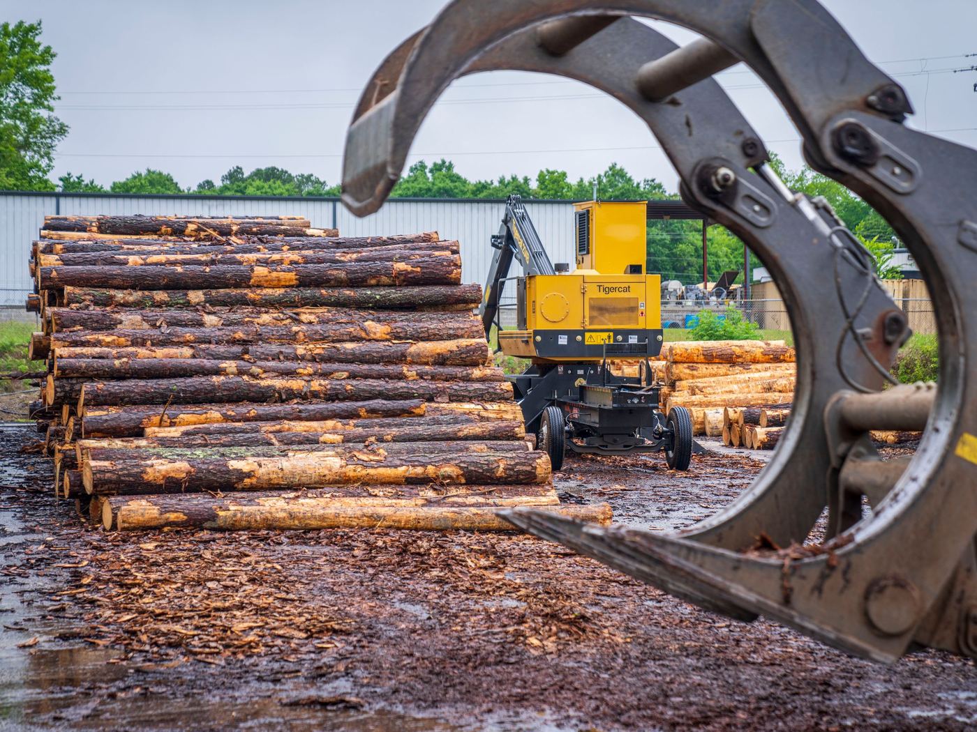 Imported round logs being handled in the timber yard